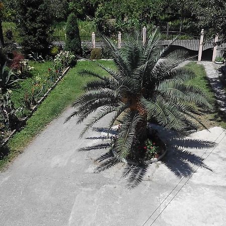 Guest House Vitali Gonio Buitenkant foto